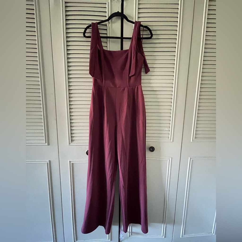 Francesca’s Burgandy Jumpsuit